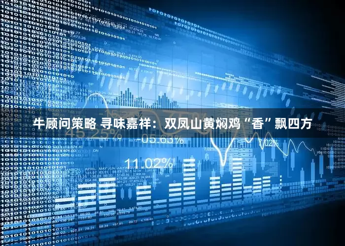 牛顾问策略 寻味嘉祥：双凤山黄焖鸡“香”飘四方