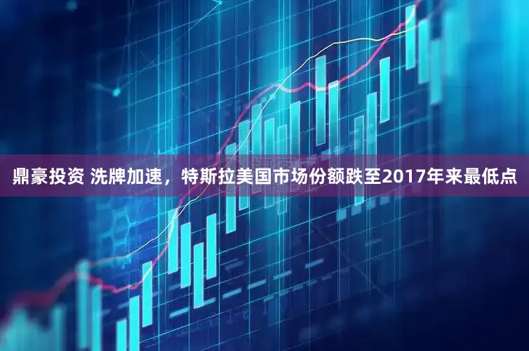鼎豪投资 洗牌加速，特斯拉美国市场份额跌至2017年来最低点