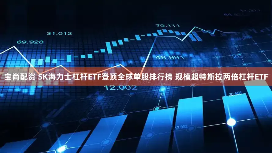 宝尚配资 SK海力士杠杆ETF登顶全球单股排行榜 规模超特斯拉两倍杠杆ETF